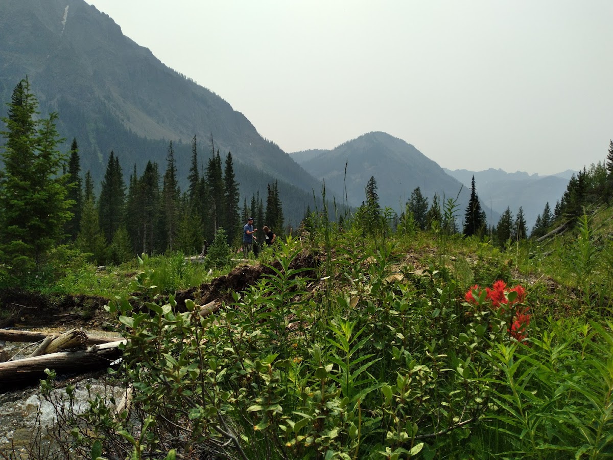 Wooka's Wild Eats Photos 2